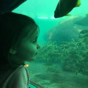 Meet your Posher, Maria